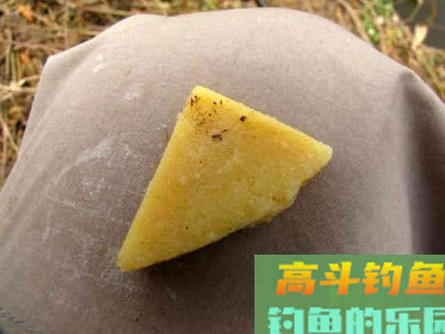 如何用红薯制作钓鱼饵料？特别适合秋天野钓鲤鱼