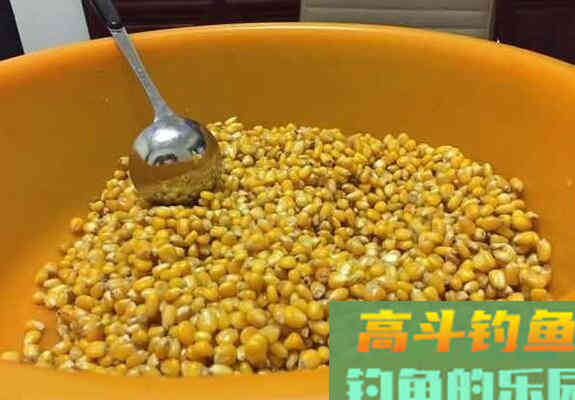 嫩玉米钓鱼需不需要煮熟？野钓客告诉你！