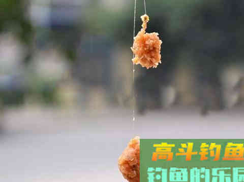 钓鱼拉饵使用进阶攻略 调整拉饵状态的小技巧