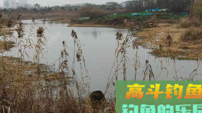 早春钓鱼的用饵技巧