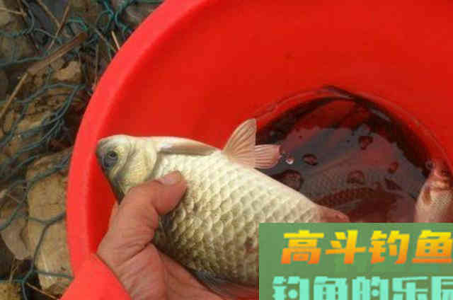 自从学会这3招，咬钩率不是一般的高