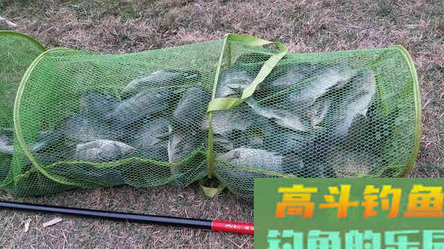 ​你与坑冠的距离：抽出立体雾化区，开饵以及技巧详解