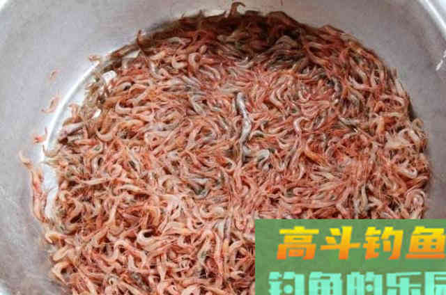 两款自制虾饵，秋钓大鲫鱼，妥妥的爆护