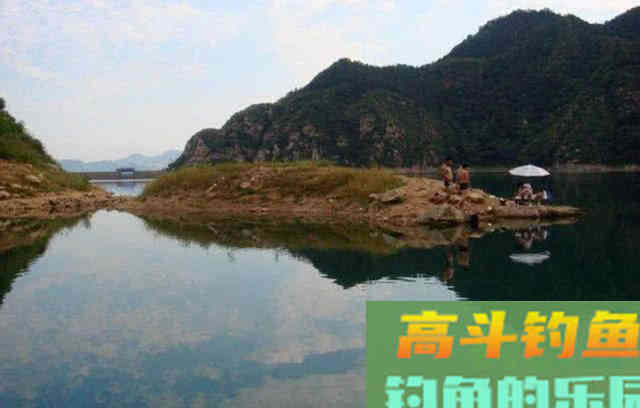 鱼为什么喜欢吃玉米粒？还被钓鱼人称为素饵之王