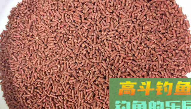 高蛋白颗粒、开口料、能量料的钓鱼选择和避坑技巧