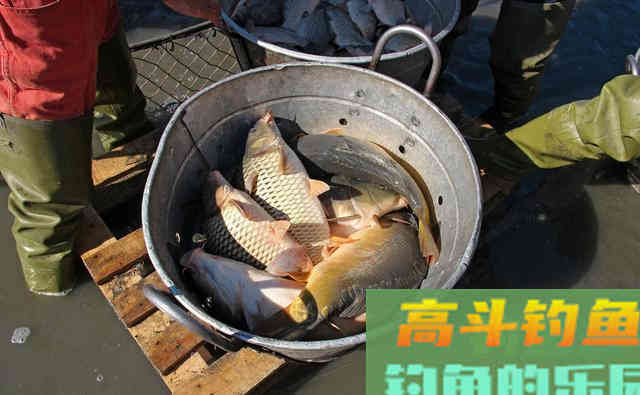 纯天然无污染，环保型自制小药配方分享