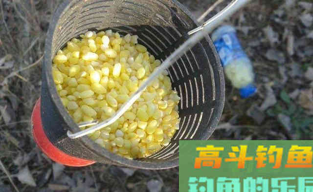 按照春季的打窝方式，钓夏季的鱼，收获差不能怪别人