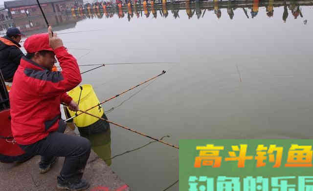 为什么大鱼喜欢吃粗粮？从体型、生存聊选饵之道