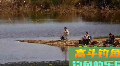 药酒里的小秘密，可以收藏起来，深秋钓大鲫鱼有效