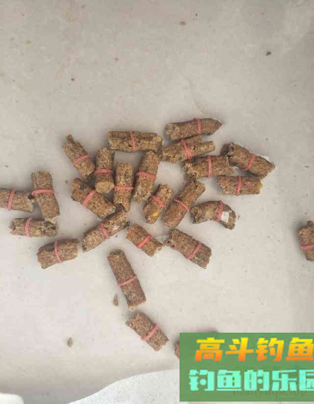 自制颗粒饵料，野钓翘嘴鱼和鲫鱼，钓获3条武昌鱼