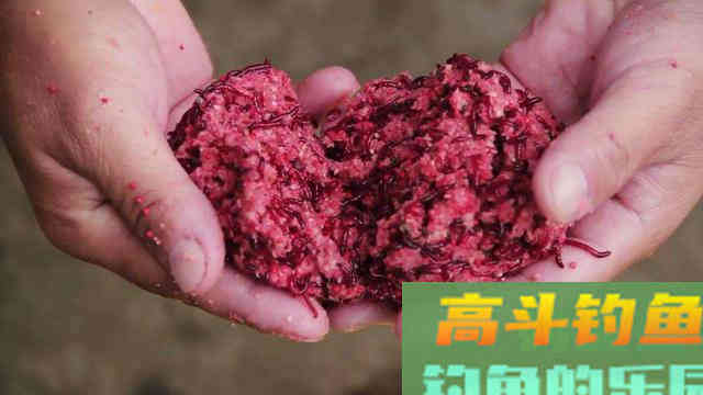 不打窝渔获好，打窝后反而没渔获，什么情况