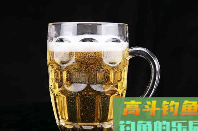 菠萝啤酒加玉米做饵料，鲤鱼草鱼都爱吃