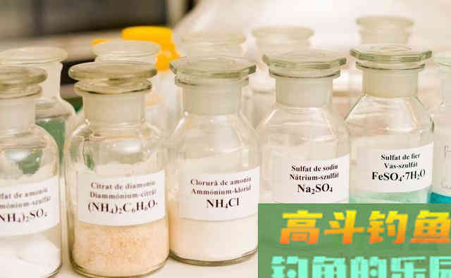 味型决定了饵料的效果？错，这4类无味成分才是主导