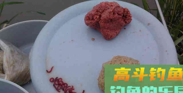 不同鱼情不同鱼饵，如何做到蛇打七寸，鱼打正口