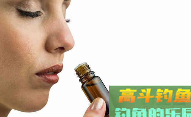 味型决定了饵料的效果？错，这4类无味成分才是主导