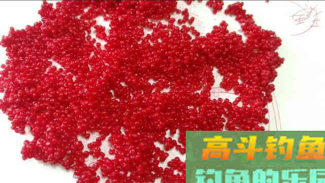 钓鲫鱼学会这样打窝，才能更好地让鱼频频咬钩