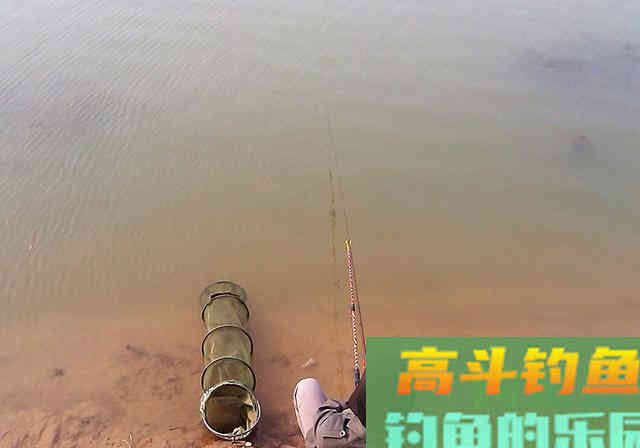 不起眼的东西，拿来做饵料钓鱼效果好，半天钓18斤