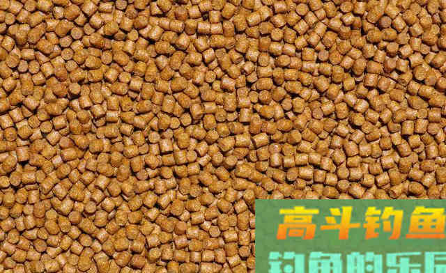 高蛋白颗粒、开口料、能量料的钓鱼选择和避坑技巧