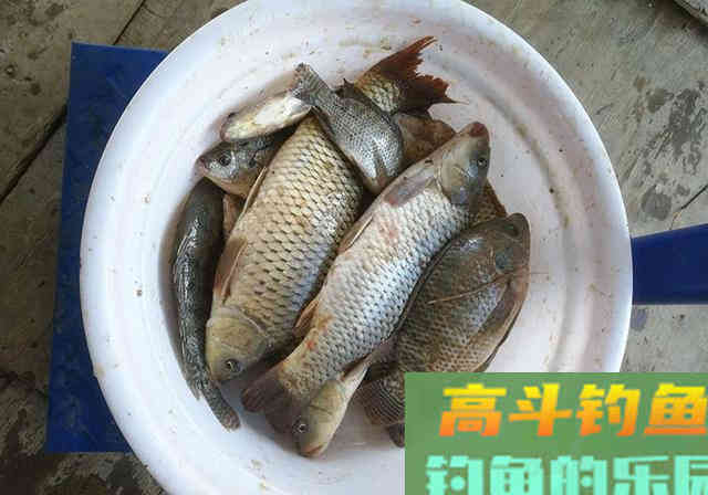 这款自制窝料一般人做不了，因为：用料多步骤繁杂