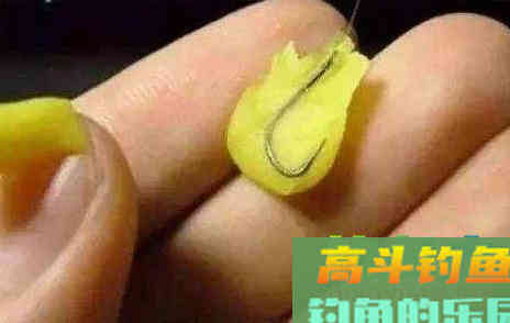 鱼情不同，搓饵的大小和形状也不同，这是为什么呢
