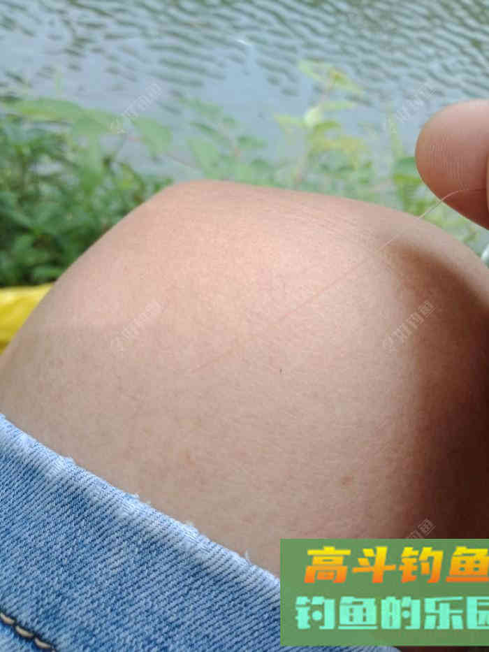 回家顺手试自配草鱼饵，还是七彩非伴随左右