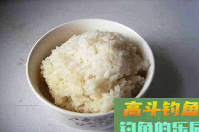 剩菜剩饭做窝料，起初被人嘲笑，渔获给我了满足