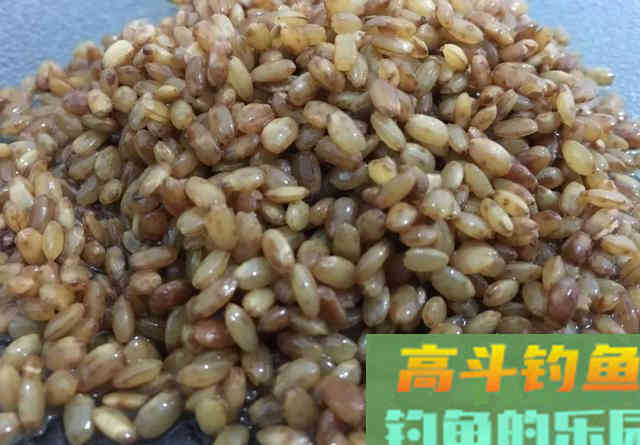 它是最常见的钓鱼香料，但不能大量添加