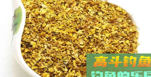 秋钓鲫鱼鲤鱼，自制桂花小药，发窝快留鱼持久