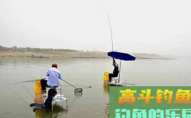 它被垂钓界公认的万能饵，玉米