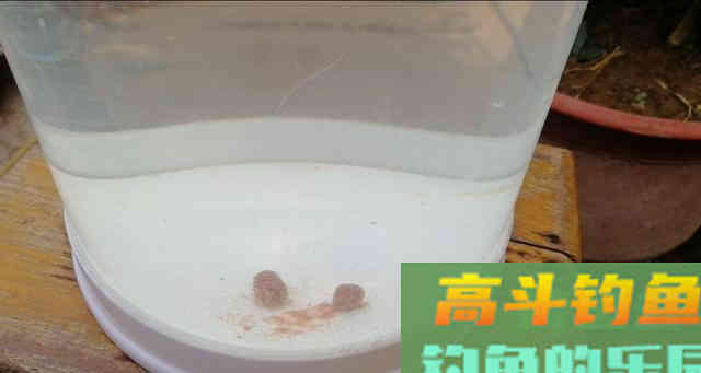 钩饵在水底的五种状态