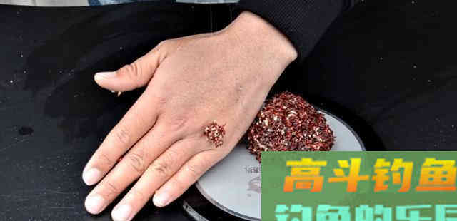 自制红虫拉饵伴侣，谨记这4个指标，效果提升50%