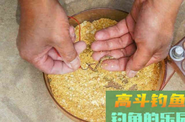 使用蚯蚓饵钓鱼的3个正确用法，传统钓或台钓高手都看