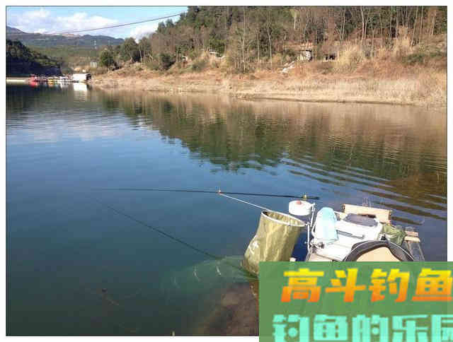 谈饵料传播路径，优化诱鱼路线，总会比别人钓得更多