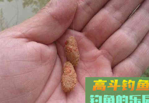 什么时候用重饵或轻饵？详说重饵轻饵在不同环境的特性
