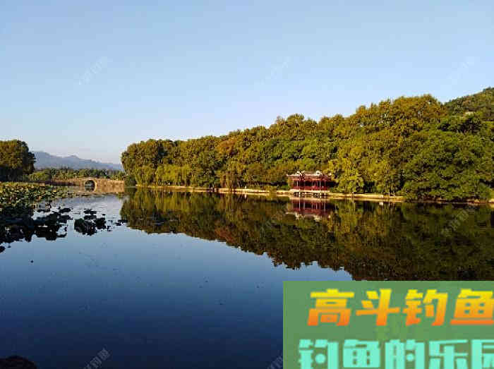 自制钓鲫鱼酒小米的几个误区，可帮助你钓获大鲫鱼