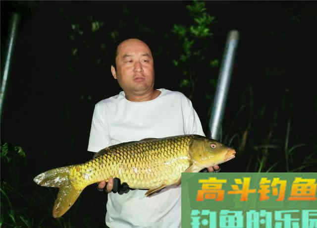 素饵之王的丰收季，稍微制作钓大草鲤鲫鱼