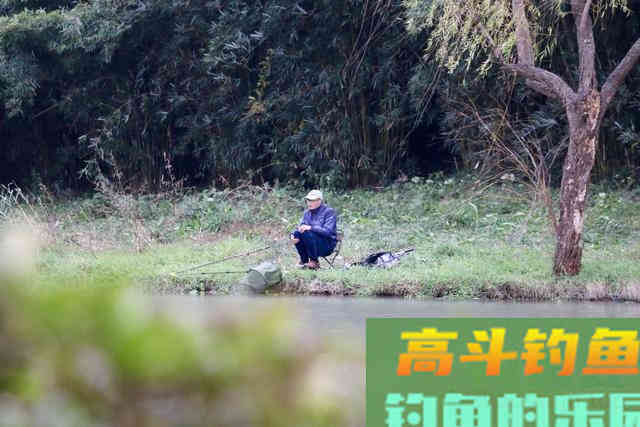 钓鱼打窝有技巧，补窝也同样很重要