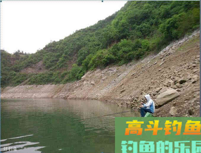 什么时候用重饵或轻饵？详说重饵轻饵在不同环境的特性