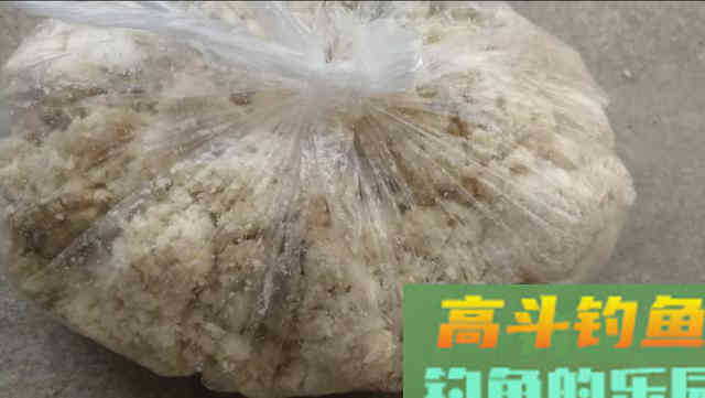 有人说豆渣钓鲢鳙不好用，我不服，学会这样用你再试试看