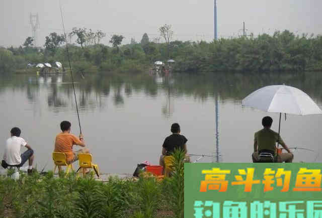 野钓环境中作钓，需要时刻注意的一些打窝技巧
