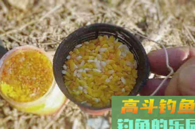 打窝的技巧全解析，和补窝时机与方法