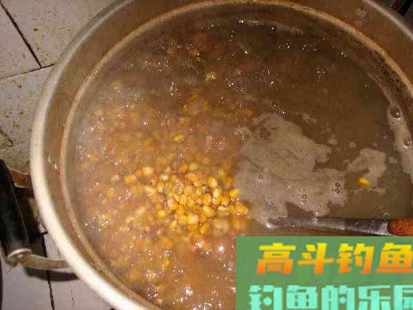 如何制作玉米粒钓饵？如何选点打窝与玉米粒使用技巧