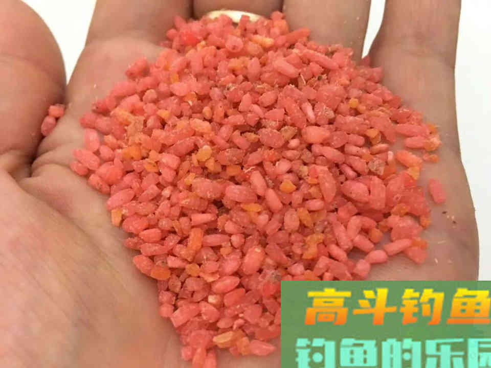 草洞布窝钓鲫鱼经验分享，小鱼闹窝不可怕