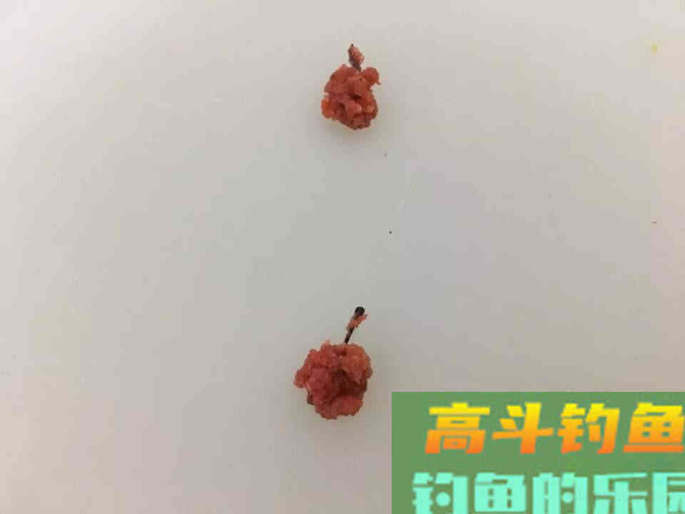 搭配饵料时懂得粗细结合，才能做到诱鱼留鱼双丰收
