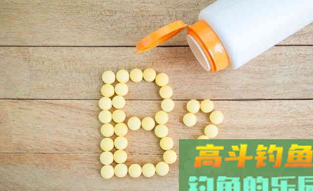 自制窝料需要加哪些“佐料”？复杂不等于好使
