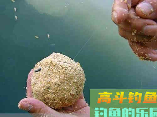 钓鱼久守无口，先不要看漂，看是不是饵料有问题