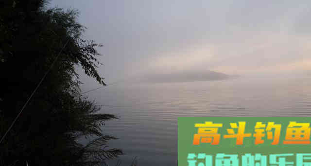 为啥打完窝子，鱼儿还不咬钩？原来是跟竿长有关系