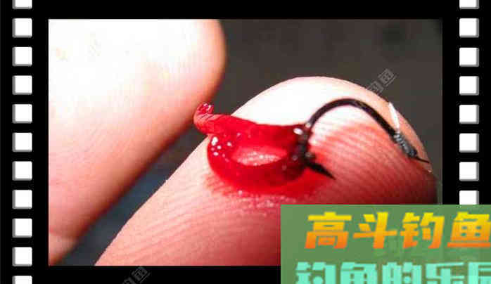 冬季鲫鱼必杀神饵红虫