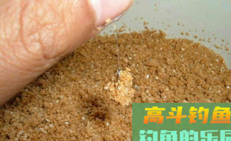 传统钓用饵技巧，新手也容易上手