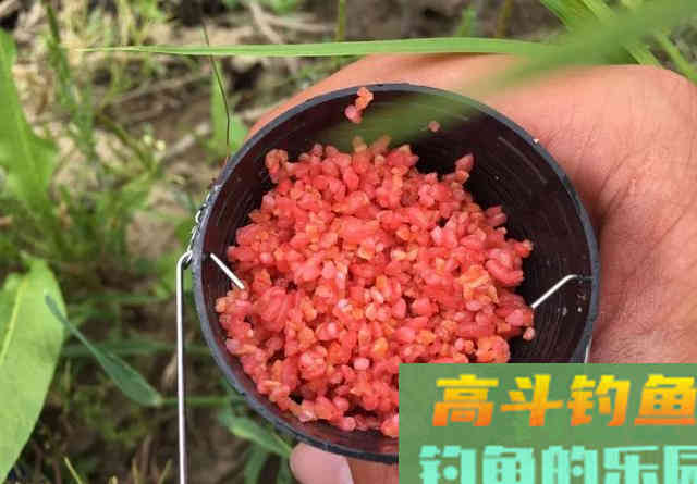 自制窝料需要加哪些“佐料”？复杂不等于好使